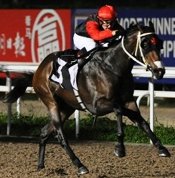 Valevole<br>Photo by Singapore Turf Club